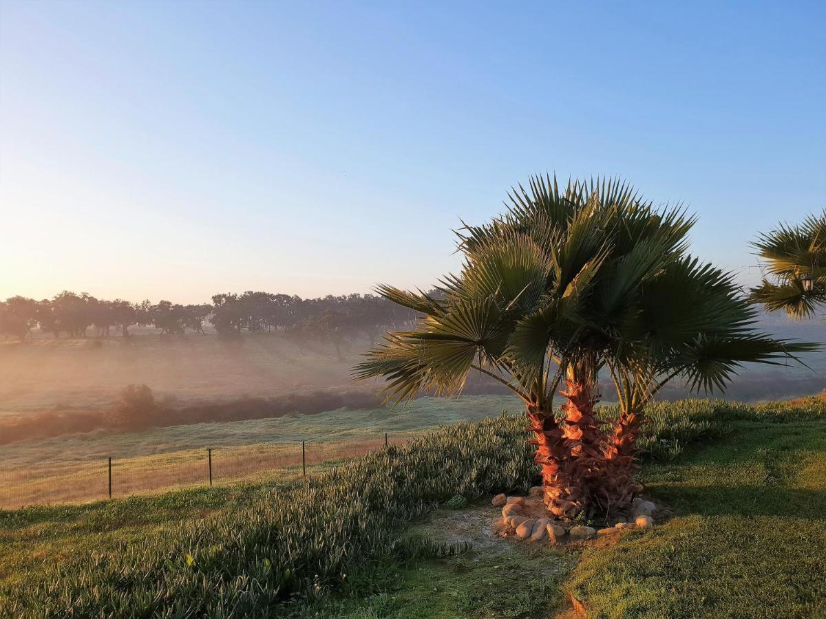 Monte D'Vagar By Estilo Lusitano, Com Piscina Privada Villa Grandola Ngoại thất bức ảnh